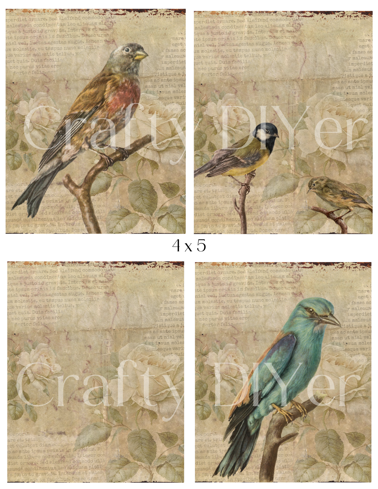 Vintage Birds Printable Set