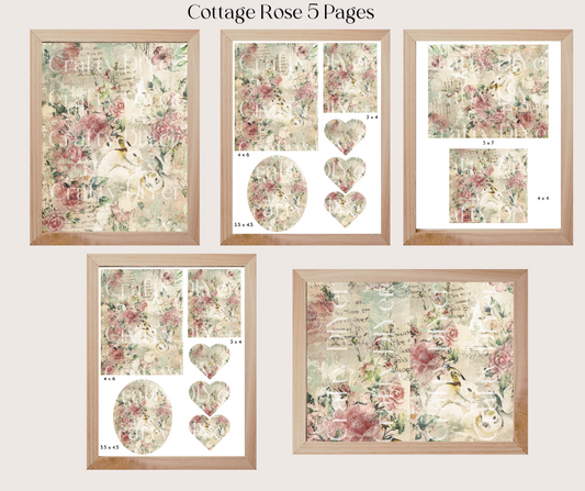 Cottage Rose Digital Print